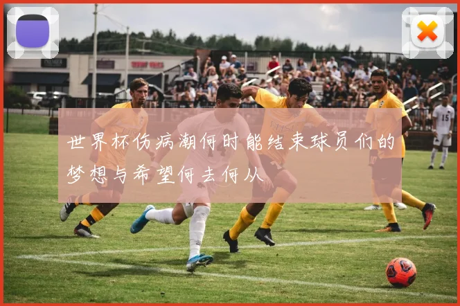 世界杯伤病潮何时能结束球员们的梦想与希望何去何从